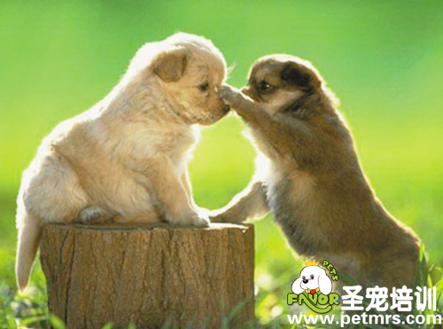 打你一下，你能怎么著