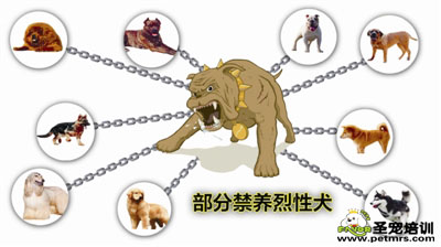 禁養(yǎng)犬類(lèi)