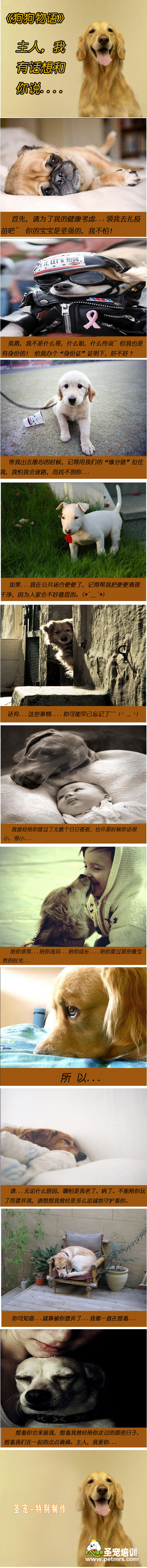 狗狗物語(yǔ)