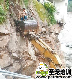 臺風(fēng)蘇力肆虐 狗狗被困懸崖4天后被主人救回