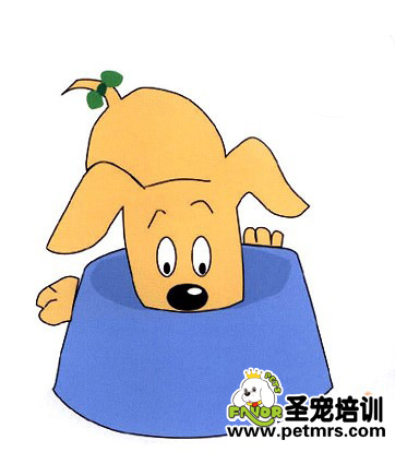 如何糾正狗狗護(hù)食的行為