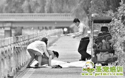 昨日，溺亡閆先生的親屬趕到現(xiàn)場(chǎng)。閆先生的三輪車(chē)上，兩只泰迪犬靜靜地臥著。