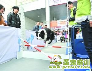 啊哦，碰桿了……