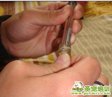 再把筆桿插進(jìn)尾巴里,尾巴長度自己控制