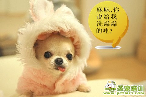超有愛(ài)