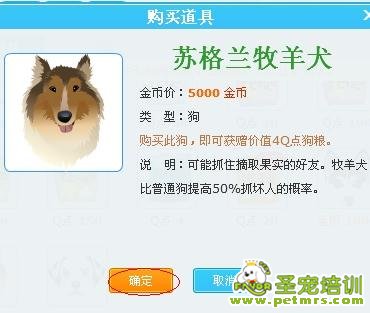 網(wǎng)上買(mǎi)狗注意事項(xiàng)