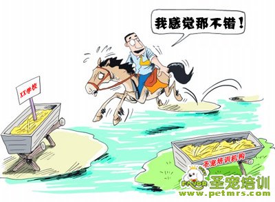 我感覺圣寵培訓(xùn)機(jī)構(gòu)不錯