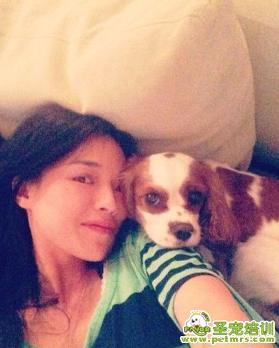 舒淇和愛(ài)犬照片