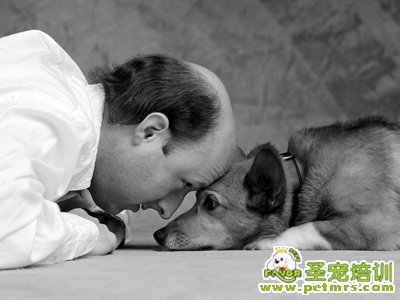 低保戶能養(yǎng)狗嗎