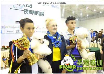 成都NGKC美容師大賽B級第二名(注明是男)