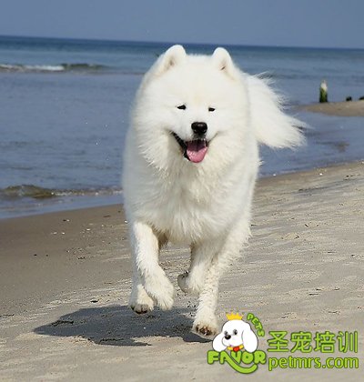 營養(yǎng)是健康之本