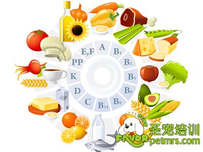 營(yíng)養(yǎng)元素表