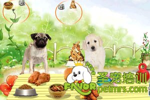 飼料對狗狗的影響