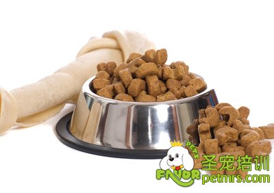 狗糧中的蛋白質(zhì)成分