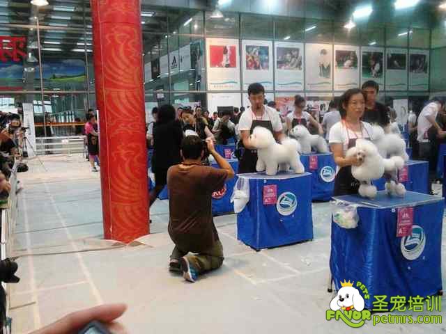 2013年第五屆NGKC鑒定大賽比賽現(xiàn)場