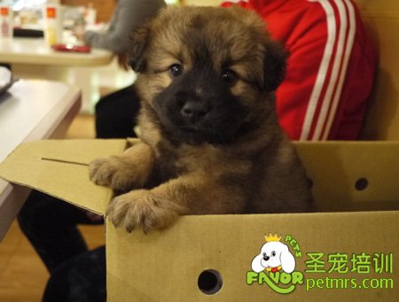 我很可愛(ài)只是你不懂我