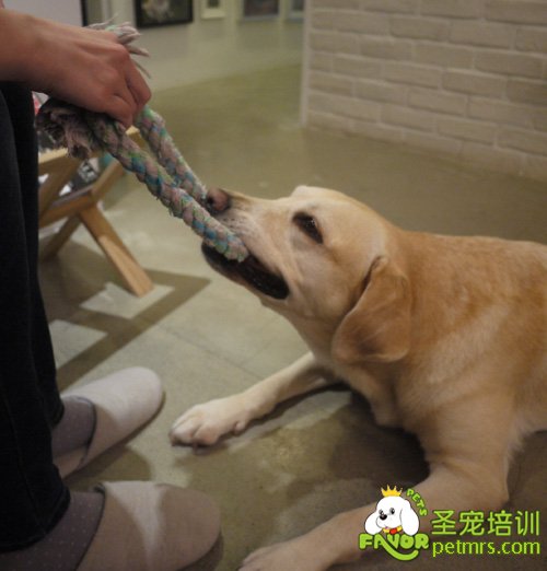 陪我玩會(huì)嗎