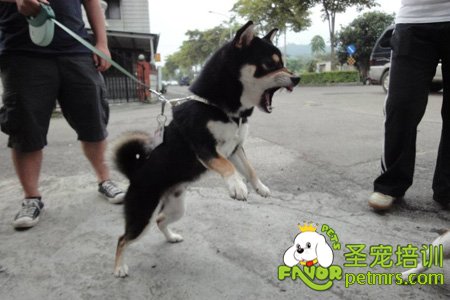 我現(xiàn)在很生氣不要惹我