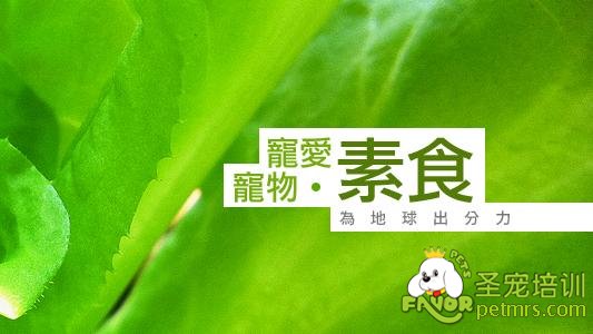 狗狗吃素食