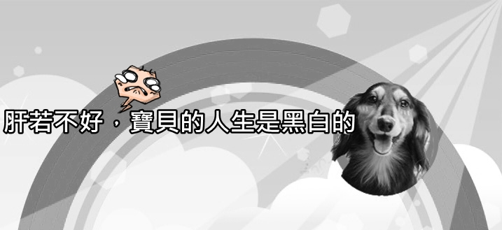 肝不好狗狗的世界就是黑白的