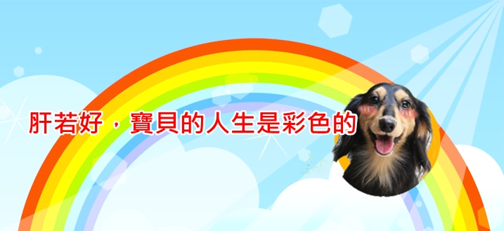 肝不好狗狗的世界就是彩色的