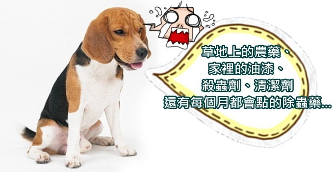 狗狗接觸的有毒物質(zhì)
