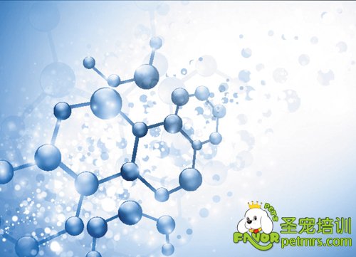 分子結(jié)構(gòu)