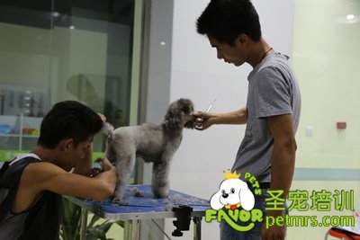 圣寵加強班實操課老師輔導(dǎo)