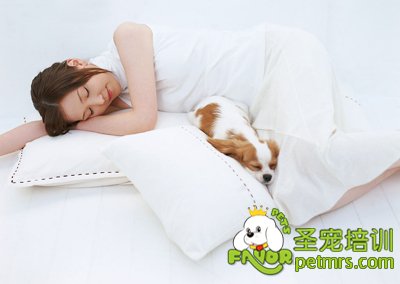 孕婦和狗狗
