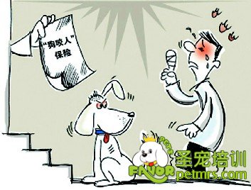 狗狗咬人