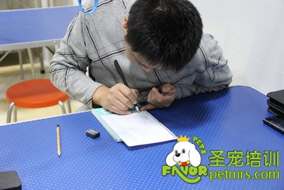 圣寵學員胡祖強正在考試