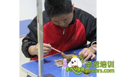 圣寵寵物陶藝課學(xué)員作品