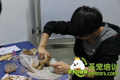 圣寵寵物陶藝課學(xué)員作品