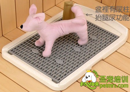 狗狗排便訓(xùn)練