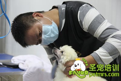 學員在認真的完成自己的考試