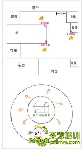狗狗撒尿