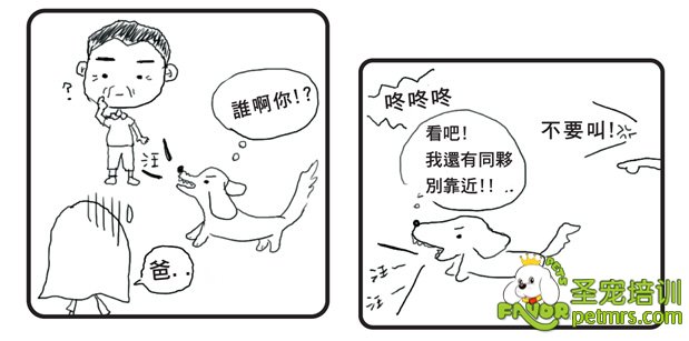 狗狗咬人