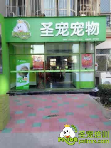 圣寵寵物歡樂谷店開業(yè)了