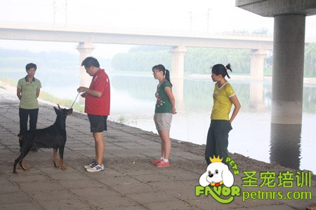 寵物訓導師野外實戰(zhàn)課堂