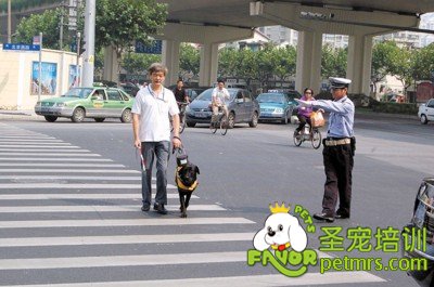 遵守交通規(guī)則