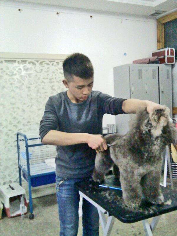圣寵學(xué)子李寧