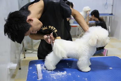 圣寵學(xué)子正在苦練基本功