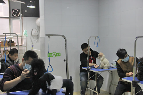 店鋪技術(shù)班第1期學(xué)員吹風(fēng)拉毛