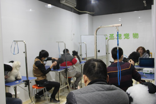 圣寵學(xué)員理論課