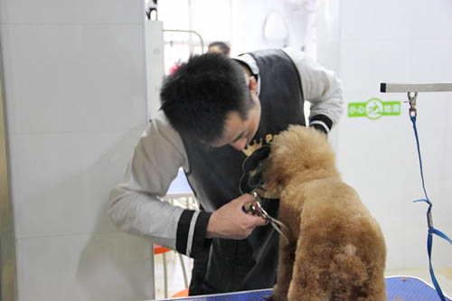 學(xué)員正在練習(xí)腰線和腹線的連接