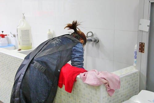 學(xué)員在給狗狗洗澡