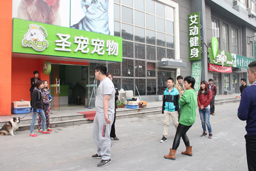 圣寵學(xué)員晨會(huì)游戲
