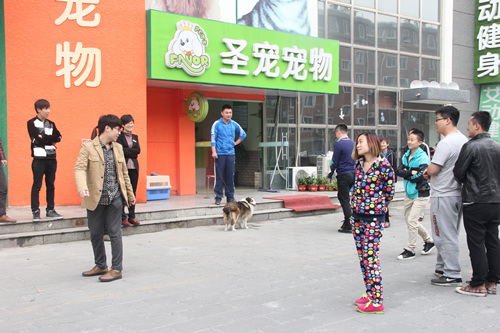 圣寵學(xué)員晨會(huì)游戲