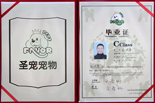 店鋪技術(shù)班結(jié)業(yè)證書
