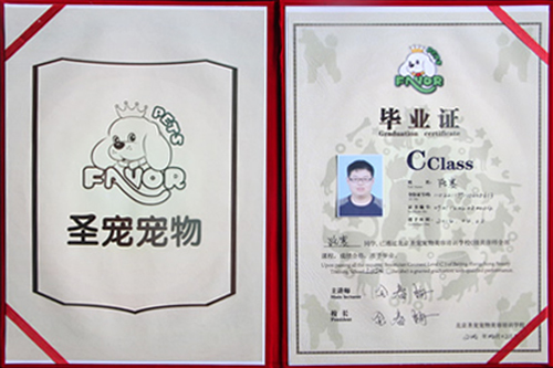畢業(yè)學子路賽